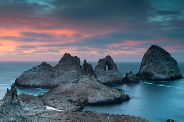 The Farallon Islands, part of San Francisco, are home to the largest colony of nesting seabirds in the contiguous United States. Credit Joshua Hull/U.S. Fish and Wildlife Service.