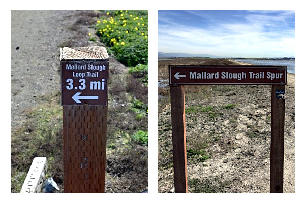 Mallard Slough Trail Spur signs