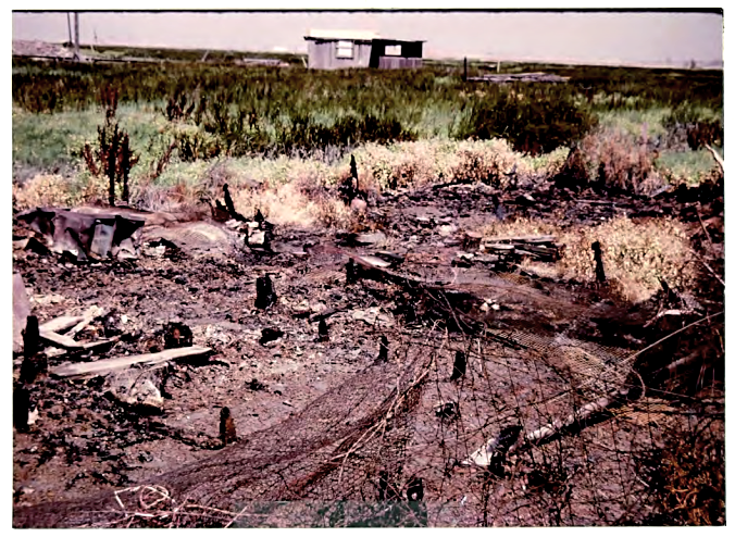 Nellie Dollin's cabin burned down in 1984