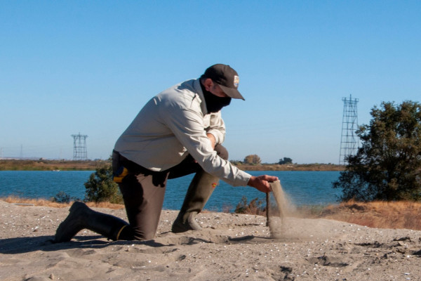 Wildlife resource specialist Louis Terrazas inspects sand placed on the Antioch Dunes national wildlife refuge site through a partnership with the Port of Stockton. The background area to the right is refuge land that has yet to be restored with sand. Credit: Brandon Honig/USFWS