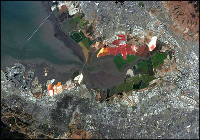 San Francisco Bay south of the San Mateo Bridge as photographed by crew of the NASA Space Shuttle NASA STS111-376-3 on June 17, 2002.