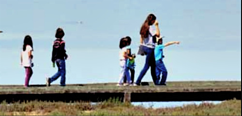 Children taking a tour of the marshes on the boardwalk