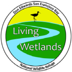 Living Wetlands