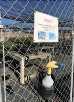 Phytophthora prevention reminder at San Pablo Bay NWR Nursery entrance. Photo credit: Meg Marriott.